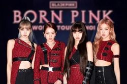 Sở VHTT Hà Nội chính thức cấp phép cho show của Blackpink