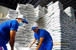 Vét sạch kho gạo không đủ xuất khẩu, dự báo lập kỷ lục 4 tỷ USD