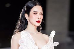 Tòa mở phiên phúc thẩm vụ ly hôn giữa Diệp Lâm Anh và chồng doanh nhân