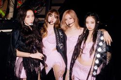 Quạt tích điện, Chủ tịch ACB, Black Pink được tìm nhiều nhất quý 2/2023