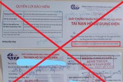 GIC sử dụng trái phép nhãn hiệu của Tập đoàn Điện lực Việt Nam