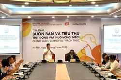 5 triệu con chó và 1 triệu con mèo bị buôn bán, giết thịt mỗi năm