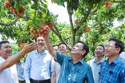 Bộ trưởng Bộ NN-PTNT Lê Minh Hoan: Kéo chợ về vườn