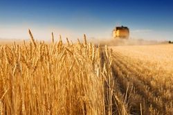 Gia hạn thỏa thuận ngũ cốc: Nga nêu quan điểm, Ukraine quyết không nhượng bộ, EU 'ủ mưu'