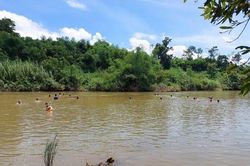 Theo cha mẹ đi cào hến, 3 cháu nhỏ chết đuối thương tâm
