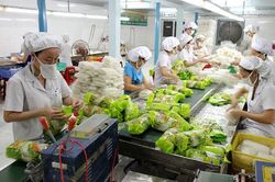 Khẩn trương hỗ trợ doanh nghiệp vượt khó