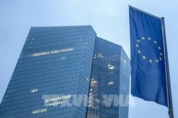 Citigroup hạ dự báo tăng trưởng GDP năm 2023 của Eurozone