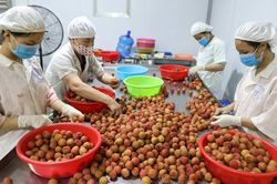Bức tranh kinh tế - xã hội 6 tháng đầu năm 2023 có thêm điểm sáng