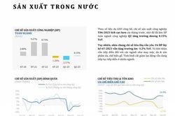 Chỉ số sản xuất trong nước 6 tháng đầu năm 2023