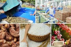 Phấn đấu tăng trưởng lĩnh vực nông nghiệp cả năm đạt từ 3 - 3,5%