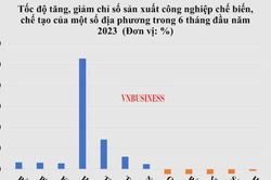 Bất chấp lạm phát toàn cầu, một tỉnh có chỉ số sản xuất công nghiệp chế biến, chế tạo tăng hơn 264%