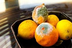 Vợ chồng trẻ bị ung thư gan từ thói quen ăn uống 'tiết kiệm' mà nhiều người mắc phải