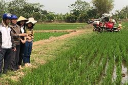 Cơ giới hóa trong sản xuất lúa khu vực đồng bằng sông Hồng