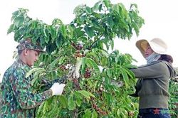 'Dân vận khéo' ở vùng đồng bào dân tộc thiểu số Bắc Tây Nguyên: Nói dân nghe, làm dân tin