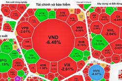 Cổ phiếu HVN của Vietnam Airlines giảm sàn vì bị hạn chế giao dịch