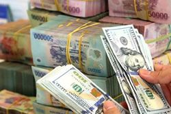 Chưa lo ngại tỷ giá tăng