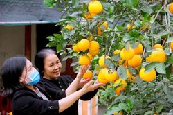 Cử tri hy vọng Chương trình OCOP sẽ có bước đột phá mới