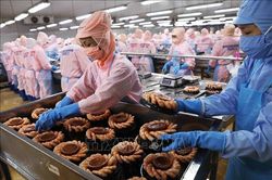 Nhìn lại nửa nhiệm kỳ Đại hội XIII: Nông nghiệp thành 'trụ chính', nông dân là tâm điểm