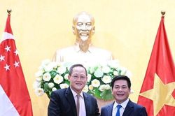 Hỗ trợ doanh nghiệp Singapore đầu tư điện gió ngoài khơi tại Việt Nam