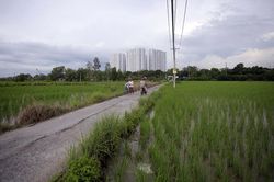 Năm huyện ngoại thành TP.HCM muốn lên thành phố do 'vướng' tiêu chí lên quận