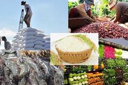 Ứng phó linh hoạt để đẩy mạnh xuất khẩu nông, lâm, thủy sản