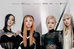Ban tổ chức concert Born Pink lên tiếng về thông tin 'đường lưỡi bò'