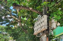 Sửa biểu giá điện sinh hoạt: Dự kiến giá điện từ 6 bậc xuống còn 5 bậc