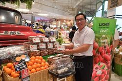 Vải tươi Việt Nam hiện diện tại hệ thống trung tâm thương mại lớn nhất Thái Lan