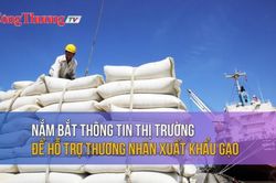 Nắm bắt thông tin thị trường để hỗ trợ thương nhân xuất khẩu gạo