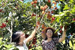 Để du lịch Long Khánh phát triển bền vững hơn