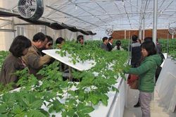 Rà soát nội dung cam kết về doanh nghiệp nhỏ và vừa mà Việt Nam là thành viên
