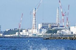 Tổng Giám đốc IAEA xác nhận độ an toàn khi Fukushima xả thải ra biển
