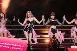 'Ngừng chiến' săn vé concert BLACKPINK: Bên nhượng lại chịu lỗ, kẻ nâng giá lên trời