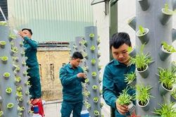 Vườn rau độc đáo của các chiến sĩ dân quân