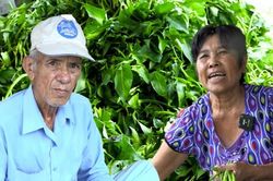 Xóm trọ nghèo, mưu sinh bằng nghề nhặt rau muống thuê giữa lòng TP.HCM