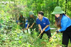 Hơn 250 đoàn viên, thanh niên ra quân làm đường băng cản lửa phòng cháy rừng