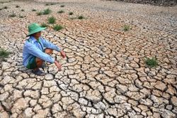 2023 có thể là năm nắng nóng kỷ lục?