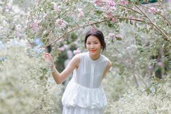 Nữ sinh Hà thành dịu dàng bên tường vi cánh mỏng