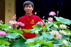 Vườn sen cung đình 'nhả ngọc' trước sân ngôi nhà trăm tuổi