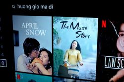 Netflix gỡ bỏ phim chứa đường lưỡi bò phi pháp