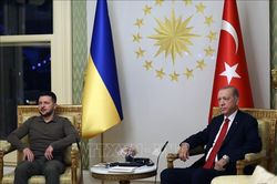 Thổ Nhĩ Kỳ khẳng định 'lập trường công bằng, cân bằng' trong xung đột Ukraine