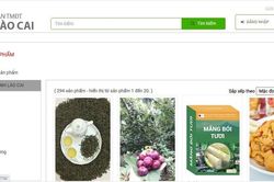 100% sản phẩm OCOP lên sàn thương mại điện tử tỉnh Lào Cai
