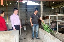 Tăng cường kiểm tra các hộ vay vốn chính sách
