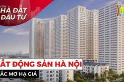 Bản tin Nhà đất và đầu tư | 10/07/2023