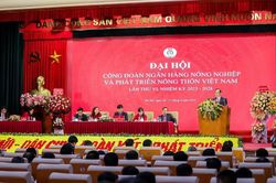 Công đoàn Agribank các cấp hoàn thành xuất sắc kế hoạch tổ chức Đại hội nhiệm kỳ 2023-2028