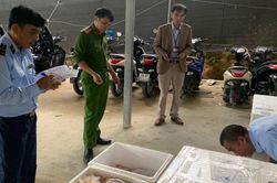Đà Lạt: Phát hiện thêm cơ sở trữ hơn 200kg thực phẩm đông lạnh không rõ nguồn gốc
