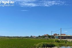 Cận cảnh khu đất có trường hợp vi phạm không được huyện Quỳnh Lưu công nhận kết quả đấu giá
