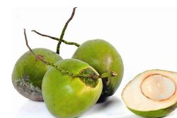Thường xuyên uống nước dừa mang lại lợi ích gì?
