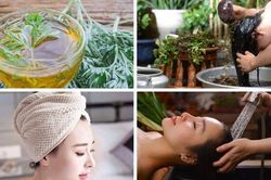 Mẹo sử dụng ngải cứu để trị gàu và giảm nhờn hiệu quả cho da đầu