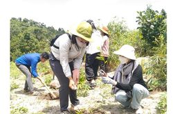 Hỗ trợ cây giống, Ia Khươl xã hội hóa trồng rừng